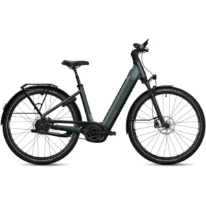 Flyer Gotour 7.23 Lowstep - 800 Wh Hover Image
