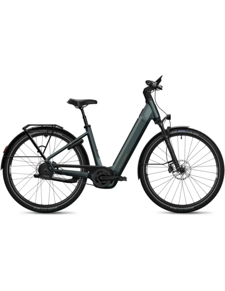 Flyer Gotour 7.23 Lowstep - 800 Wh Hover Image
