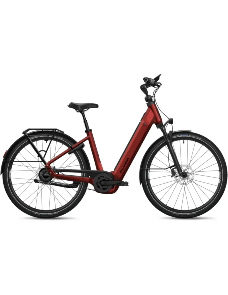 Flyer Gotour 7.43 800 Wh Hover Image